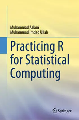 Aslam / Imdad Ullah |  Practicing R for Statistical Computing | eBook | Sack Fachmedien