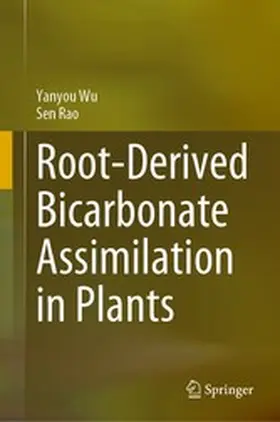 Wu / Rao |  Root-Derived Bicarbonate Assimilation in Plants | eBook | Sack Fachmedien