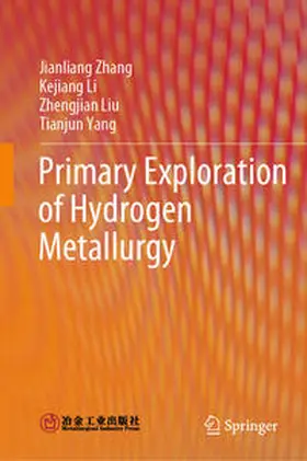 Zhang / Li / Liu | Primary Exploration of Hydrogen Metallurgy | E-Book | sack.de