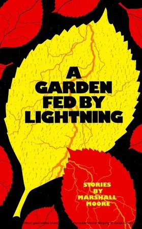 Moore |  A Garden Fed by Lightning | eBook | Sack Fachmedien