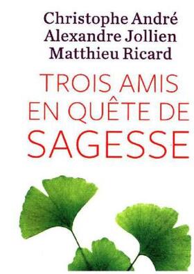 André / Jollien / Ricard |  Trois amis en quête de sagesse | Buch |  Sack Fachmedien