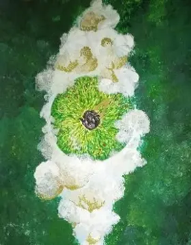 Bertoldi |  Inedia | eBook | Sack Fachmedien