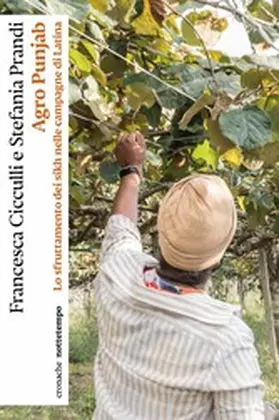 Cicculli / Prandi |  Agro Punjab | eBook | Sack Fachmedien
