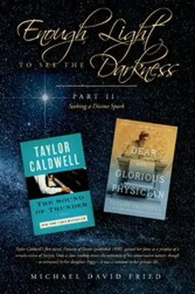 Fried |  Enough Light to see the Darkness: | eBook | Sack Fachmedien