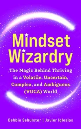 Sehulster / Iglesias |  Mindset Wizardry | eBook | Sack Fachmedien